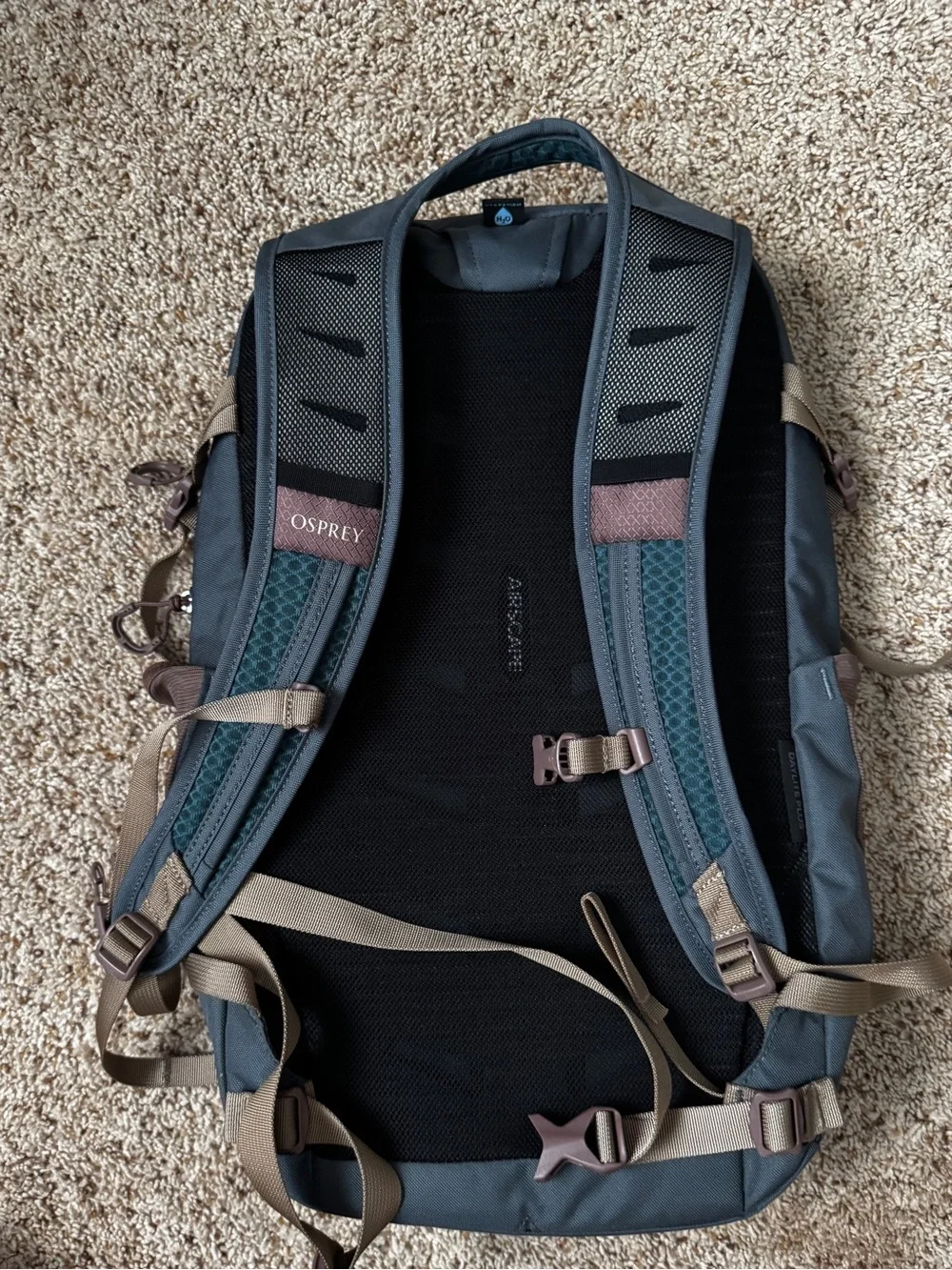 Like New! OSPREY Daylite Plus Backpack